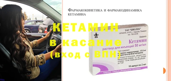 шишки Богородицк