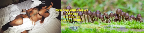 шишки Богородицк