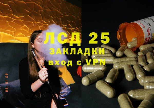 шишки Богородицк