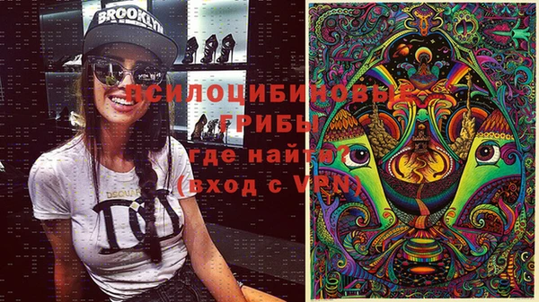 mix Богородск