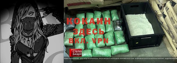 шишки Богородицк