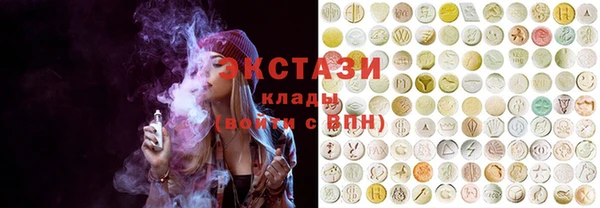 шишки Богородицк