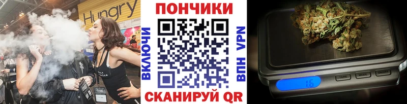 где купить наркоту  Новосокольники  Бошки Шишки семена 